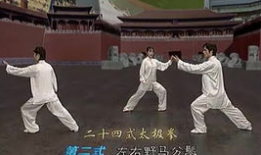 太极拳24式视频完整版,一招一式，尽展太极魅力